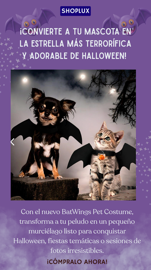 BatWings Pet Costume