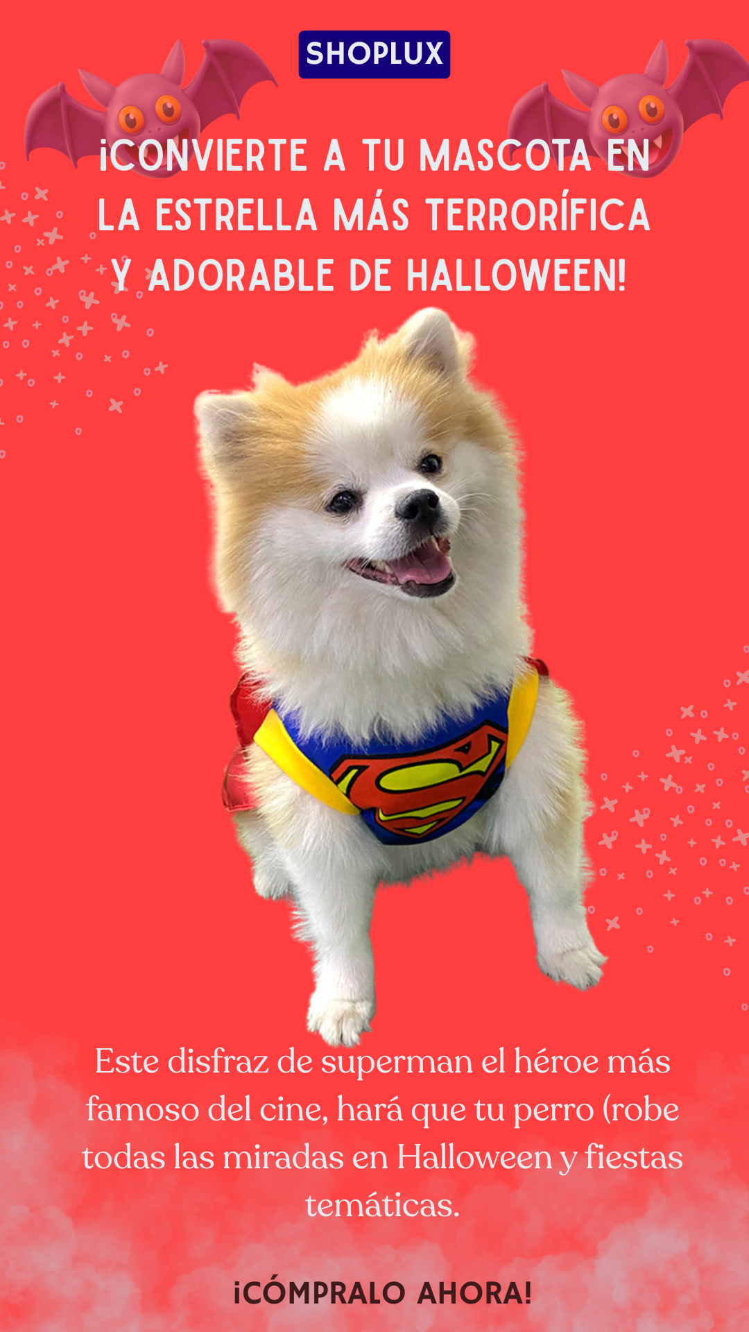 Disfraz Mascotas Súper Man dog