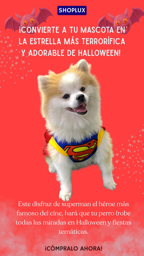 Disfraz Mascotas Súper Man dog