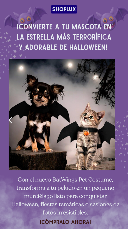 BatWings Pet Costume