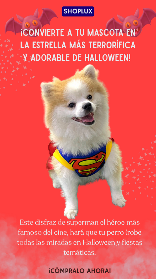 Disfraz Mascotas Súper Man dog